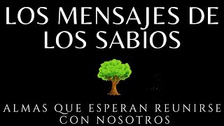 Los mensajes de los sabios Brian weiss Audiolibro completo en español voz humana [upl. by Chrystel]