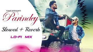 SUMIT GOSWAMI  Parindey lofi mix Slowed amp Reverb  New Haryanvi Songs Haryanavi 2023  Lofi Songs [upl. by Alrats454]