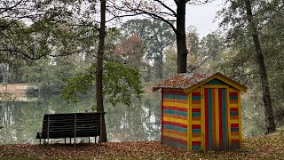 Strandbad Frankenthal Weiher und schwimmbacken สาพามาเดินเล่นในฤดูใบไม้ร่วง [upl. by Elsworth]