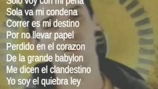 Manu Chao  Clandestino Lyrics [upl. by Moureaux]