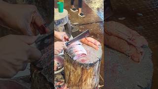 Amazing Hilsa Fish Cutting Skills In Bangladesh Local Fish Market shorts [upl. by Leirbag]