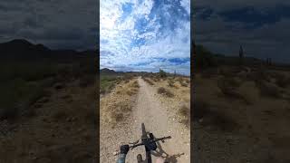 Unforgettable Arizona Mountain Biking Adventures mtbarizona azregionalparks arizonatrail [upl. by Colwell298]