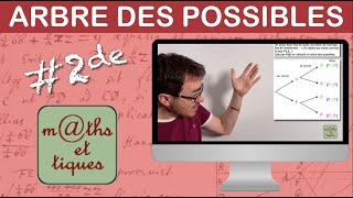 Calculer une probabilité à laide dun arbre des possibles 1  Seconde [upl. by Tamar190]