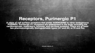 Medical vocabulary What does Receptors Purinergic P1 mean [upl. by Amerigo778]