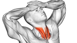 The 15 Most Effective Exercises for Neck Pain Relief [upl. by Giacobo553]