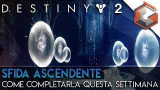 Destiny 2  SFIDA ASCENDENTE  Come completarla questa settimana  Citta Sognante DLC I Rinnegati [upl. by Nollad104]