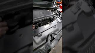 Where to find the Diesel fuel filter of Mercedes benz Valente Shorts [upl. by Klement963]