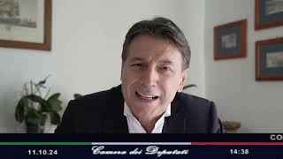 Giuseppe Conte risponde a Carlos Tavares Stellantis in audizione alla Camera [upl. by Nichani54]