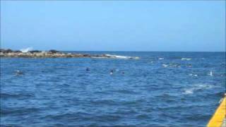 Christmas on Clovelly Beach in Sydney [upl. by Deirdre908]