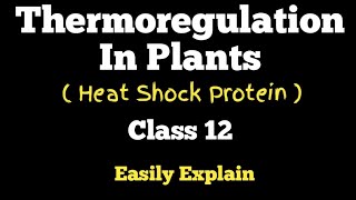 Thermoregulation In plants Explain In Urdu Hindi  Class 12 Biology [upl. by Donnie454]