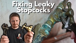 How To Fix a Leaking Stopcock Quickly and Easily  Plumbing DIY [upl. by Kamp213]