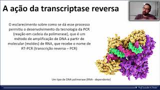 A ação da transcriptase reversa e o HIV [upl. by Dyna156]