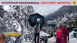 Snowfall in Mcleodganj 😍Dharamshala 2024 first snowfall  Himachal Pradesh [upl. by Hoffer]