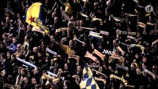 WaaslandBeveren Players amp Fans Together for Victory [upl. by Erdei115]