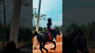 RFA STABLE HORSE RIDING amp HORSEBACK ARCHERY RECAP [upl. by Ecineg715]