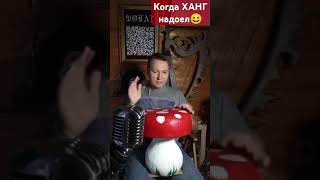 Гриботерапия😆😆😆 handpan hangdrum music мухомор грибы ханг хангдрам drummer percussion top [upl. by Gaw]