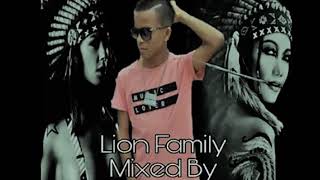 Amerindian music  Arawak from French Guyana  Lion Family Mix By DJ Hennys Drive [upl. by Creedon]