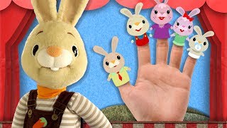 Finger Family Song  Nursery Rhymes amp Baby Songs Collection With Harry The Bunny From Baby First TV [upl. by Harihat691]