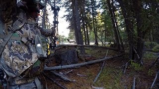 2017 Archery Elk Hunt  Oregonhunter Studios [upl. by Goldsworthy]