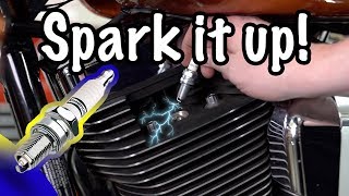 How to Replace Harley Spark Plugs amp Properly Set Gap [upl. by Adriena]