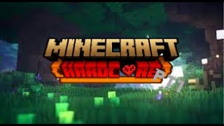 Minecraft HARDCORE S1 EP1 [upl. by Aehsan52]