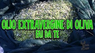 OLIO EXTRAVERGINE DI OLIVA FAI DA TE [upl. by Ille]