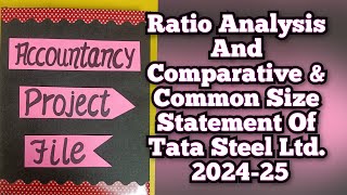 Ratio Analysis and Comparative amp Common Size Statement Of Tata Steel Ltd 202425 Class12th [upl. by Ynattyrb]