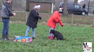 E G honden training zaterdag 13 Januarie 2024 [upl. by Anileda]