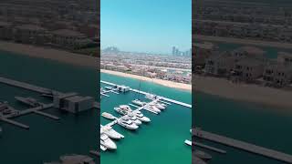 Millionaire shares palm Jumeirah view [upl. by Angelica]