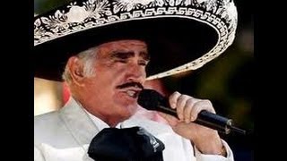 Por Un Amor  Vicente Fernandez [upl. by Duffy]