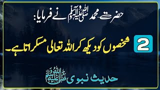 Sahih Muslim Hadees  Hadees Sharif  Hadith  Hadeesnabvi  ISLAMIC URDU PAKISTAN [upl. by Maximilian]