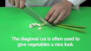 Lesson Cutting spring onions diagonally  Fatafeat Academy  Fatafeat [upl. by Tigdirb]