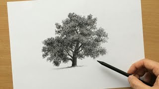 How to Draw a Tree in Charcoal [upl. by Lleihsad]