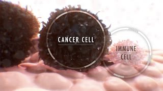 Immunotherapy for Cancer What It Is and Why It’s Used [upl. by Naashom]