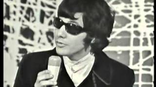 Cat Stevens I Love My Dog France 1967 [upl. by Annerol]