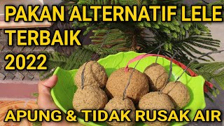 PAKAN ALTERNATIF LELE PALING MUDAH DIBUAT WOW❗MURAH BANGETT‼️ [upl. by Amasa]