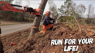 Cutting dangerous trees off a hwy ROW 200 miles from home [upl. by Parlin]