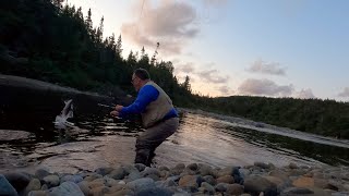 Salmon and Sea Trout Fishing in Scenic Newfoundland Rivers [upl. by Eugenia]