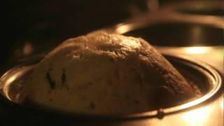 Rising Muffin TimeLapse Macro 1080p HD [upl. by Onaicram]