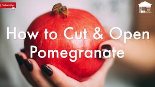 The Best way to cut and open a Pomegranate [upl. by Jerroll462]