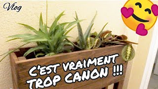 VLOG  Cest vraiment TROP CANON  😎 🤩 🥳 [upl. by Landmeier584]