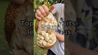 Top 5 fruits les plus fous 😮 cempedak cacao salak monsteradeliciosa kopyor coconut [upl. by Assenaj34]