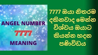 Angel Number 7777 Meaning in Sinhala [upl. by Ecaroh]