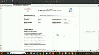 Acuses declaracion de depositos en efectivo 2023 y 2024 [upl. by Tray]