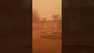 Sand storm Haboob at El Geneina Darfur Sudan [upl. by Quickman]