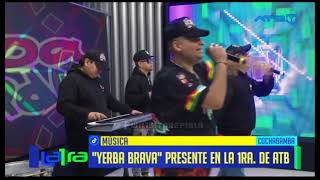 Yerba Brava  Pibe cantina ATB 23072024 [upl. by Andee]