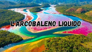 LArcobaleno Liquido del Parco della Sierra de la Macarena Colombia [upl. by Garrik]