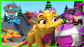 Rescue Knights Baby Dragons and MORE 🏰 PAW Patrol  Cartoons for Kids [upl. by Tacita]