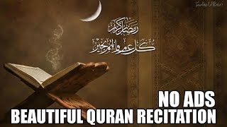 Beautiful Quran Recitation  10 Hours  No Ads [upl. by Sutsuj201]