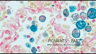 Pigments  Part 2 [upl. by Malia]